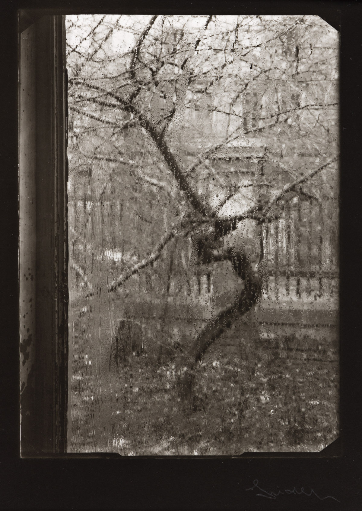 JOSEF SUDEK (1896 1976) From the series Window of My Studio