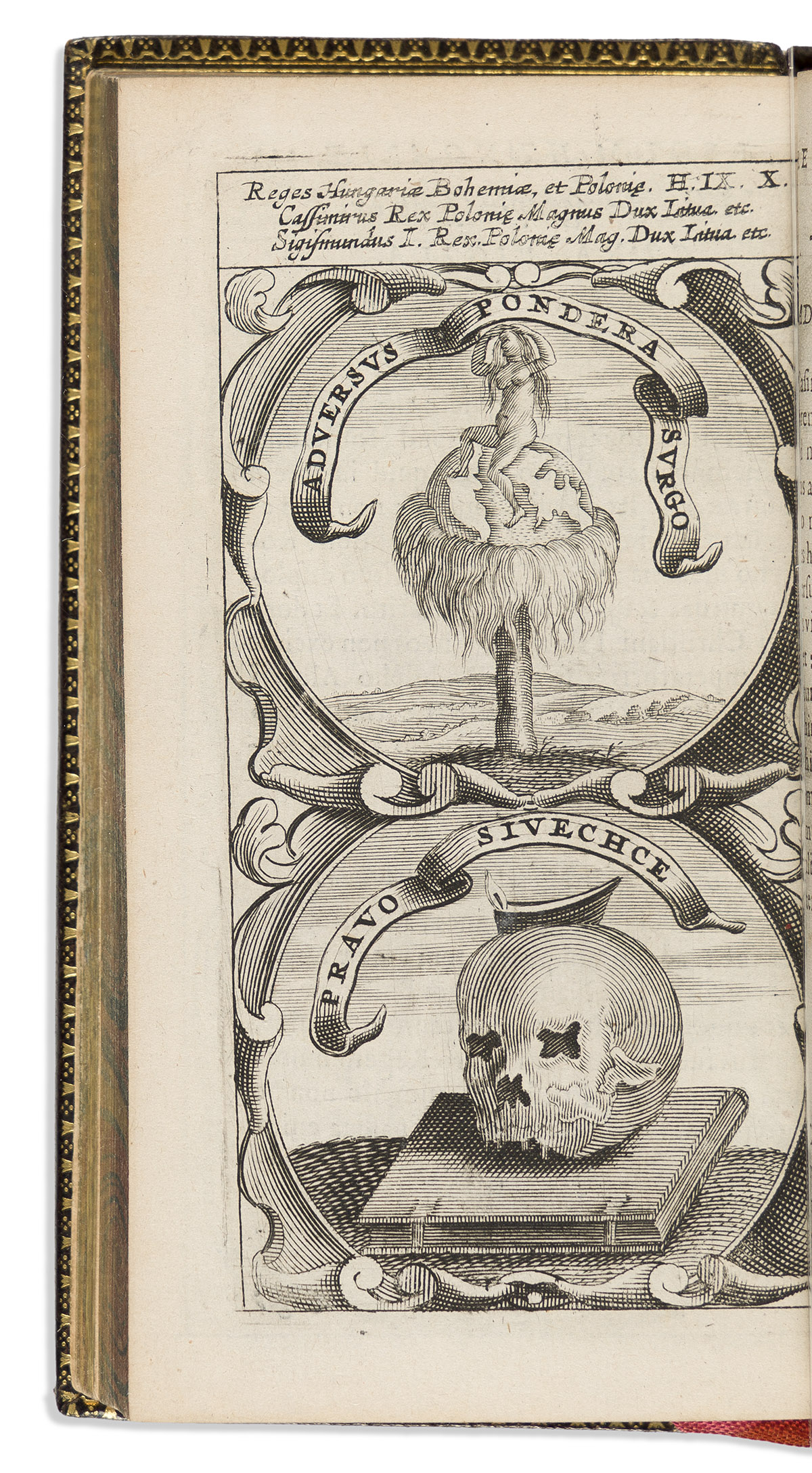 限定版 Typotius Pontific Humana Divina Symbola 1604) (1540 Jacobus ヨーロッパ