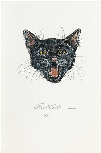 The Black Cat: Edgar Allan Poe, Alan James Robinson